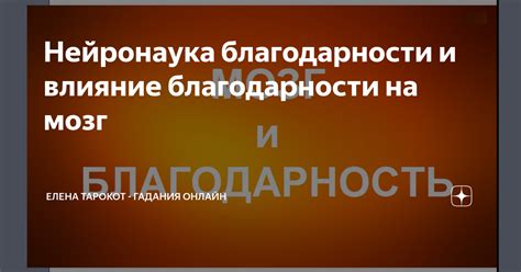 Влияние благодарности на отношения