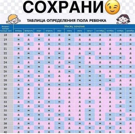 Влияние генетики на определение пола ребенка