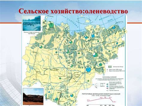 Влияние географического положения на радиацию