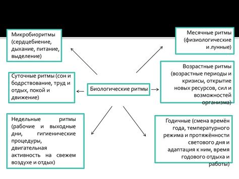 Влияние длительного отпуска на работоспособность коллектива