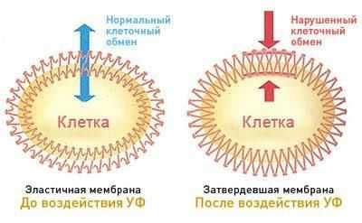 Влияние избытка на организм