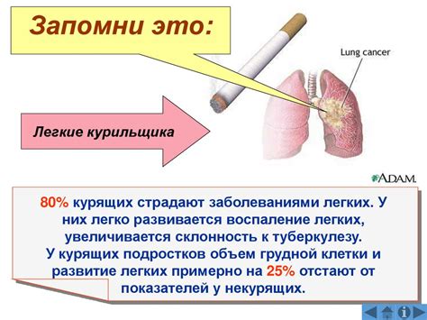 Влияние курения на аппетит