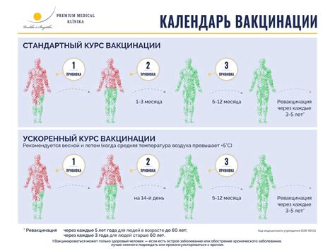 Влияние массажного воздействия на организм после проведения вакцинации