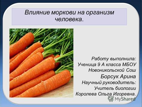 Влияние моркови на организм