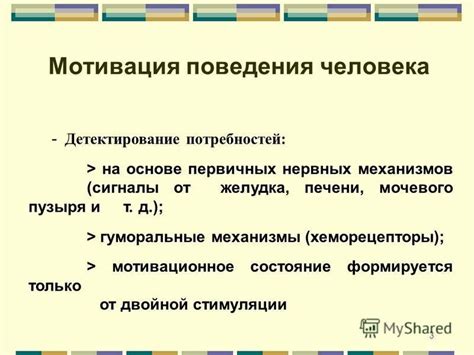 Влияние мотивации на поведение