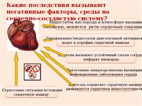 Влияние нарушения проводимости на сердечную систему