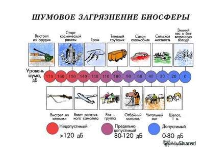 Влияние на здоровье животных