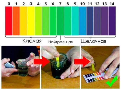 Влияние на кислотность и свежесть