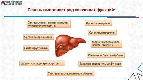 Влияние на метаболизм