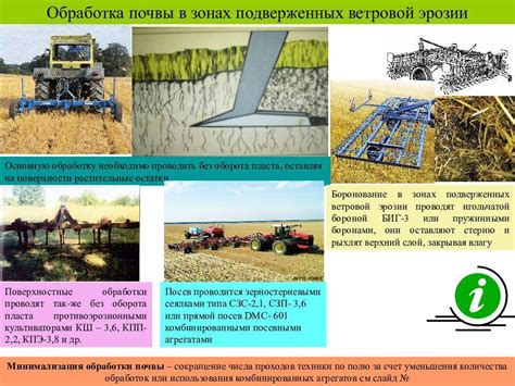 Влияние обработки почвы медным сульфатом на получение урожая и защиту растений от заболеваний