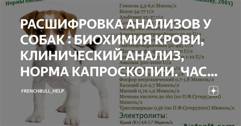 Влияние объема потребляемой воды перед сдачей анализов у собак