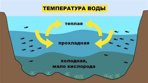 Влияние окружающей среды на температуру