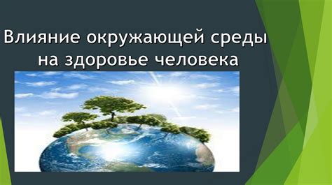 Влияние окружающей среды на формирование наших предпочтений