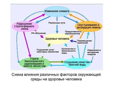 Влияние окружающей среды на формирование сна малыша