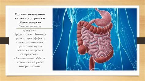 Влияние отрубей на функционирование желудочно-кишечного тракта и обмен веществ