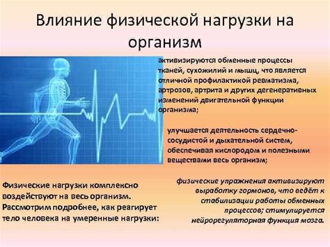 Влияние перегревания организма и физической нагрузки на температурный режим