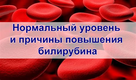 Влияние повышения уровня билирубина на организм и состояние здоровья