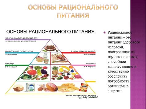 Влияние правильного рациона на формирование здоровья маленького пастушьего псыка