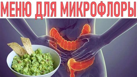 Влияние противозачаточных средств на микрофлору кишечника