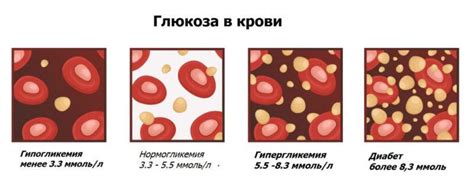 Влияние разноцветной капусты на уровень глюкозы в крови