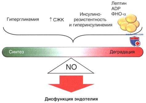 Влияние сахарного диабета на температуру тела: связи и факторы