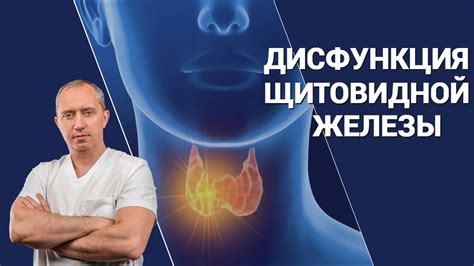 Влияние сезонов на функцию щитовидной железы: как меняется гормональный фон