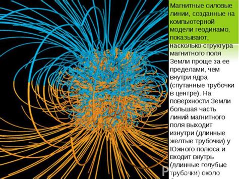 Влияние сильного магнитного поля Земли на работу организмов