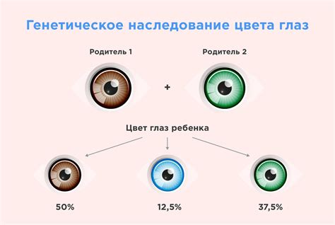 Влияние смешения генов на цвет глаз