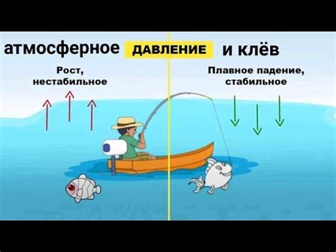 Влияние соленой рыбы на артериальное давление