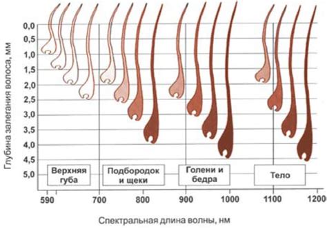 Влияние типа кожи на устранение неприятных ощущений после удаления волос