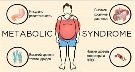 Влияние употребления углеводов на вес: новые факты и научные исследования