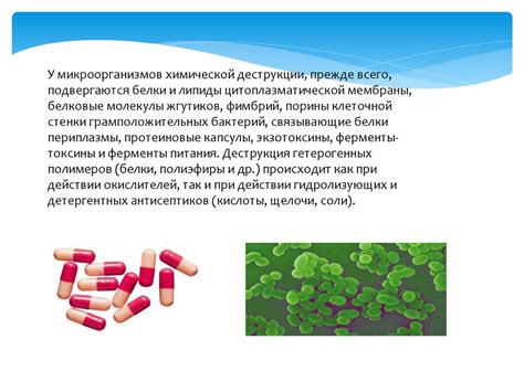 Влияние факторов на уменьшение возможности альтернативного снабжения кровью и его последствия