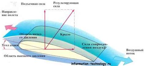 Влияние формы крыла на взлет и полет