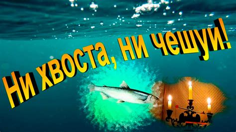 Влияние фразы "ни хвоста ни чешуи" на общение