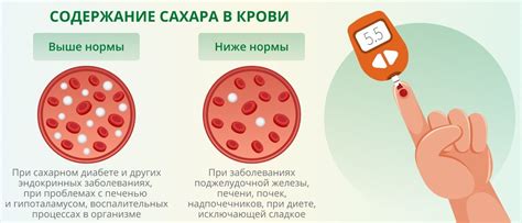 Влияние цикория на уровень глюкозы в крови: отражение исследований