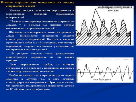 Влияние шероховатости среды на черепах