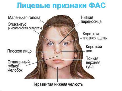 Внешние признаки и возможные причины образования