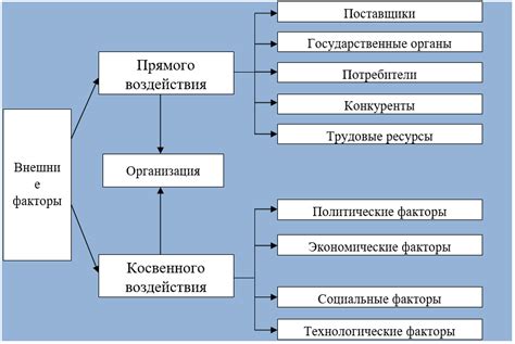 Внешние факторы и воздействия