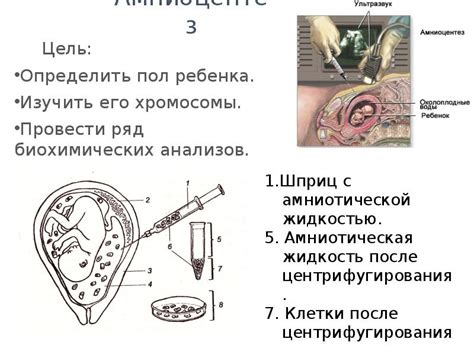 Внимание и уход за здоровьем кролика: предупреждение болезней и лечение