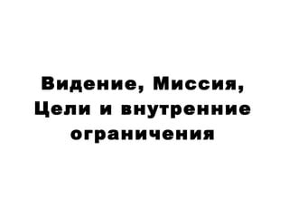 Внутренние ограничения компании