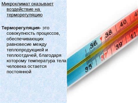 Воздействие антипиретиков на общую терморегуляцию организма