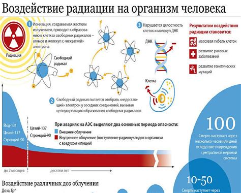 Воздействие магнезии на организм человека и его возможное влияние на ощущение головокружения