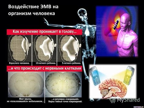 Воздействие на организм