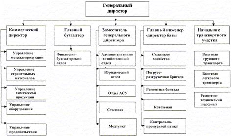 Возможности и перспективы развития нового оптового торгового центра