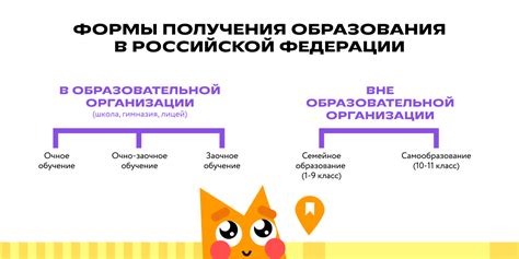 Возможности обучения в МГУ заочное