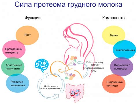 Возможности появления грудного питания у усыновленной мамы: