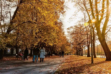 Возможность встретиться с родными и близкими