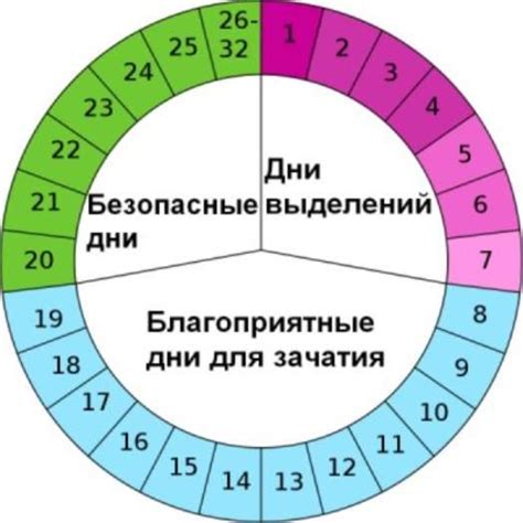 Возможность зачатия в разные дни цикла