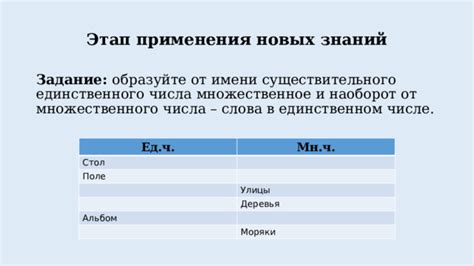 Возможность использования слова "ворота" в единственном числе