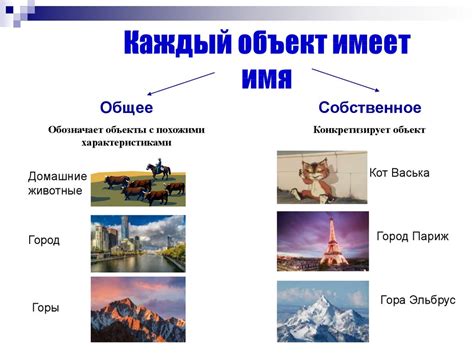 Возможность различать оттенки и нюансы окружающего мира